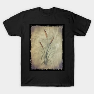 Watercolor Cattails on Parchment Pattern T-Shirt